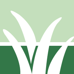 Poison Ivy Treatment Pros