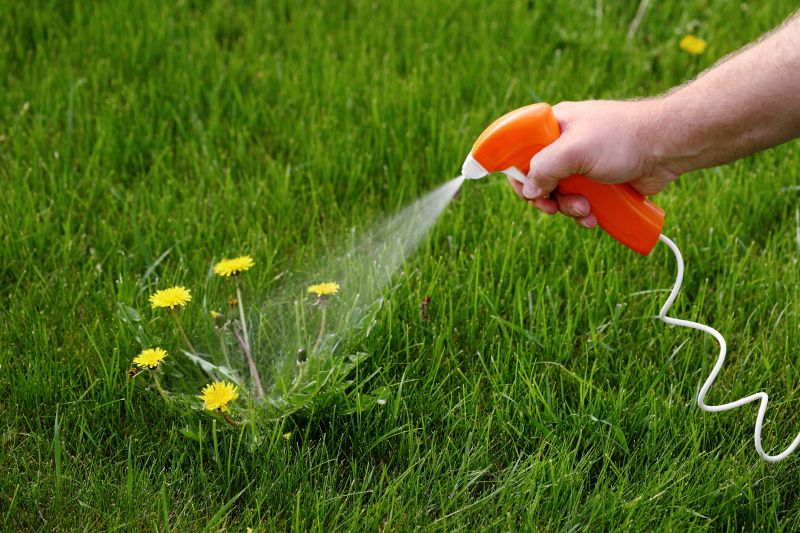 Lawn Weed Treatment in Rockwall, TX