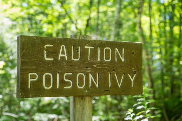 Grow your Poison Ivy Treatment business