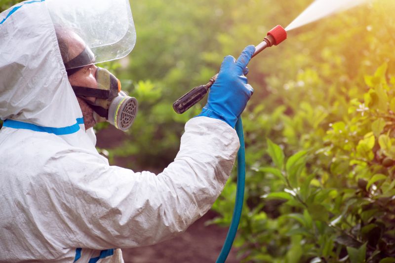 Crabgrass Prevention in Ventura County, CA