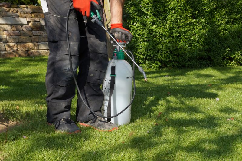 Crabgrass Prevention in Aiken, SC