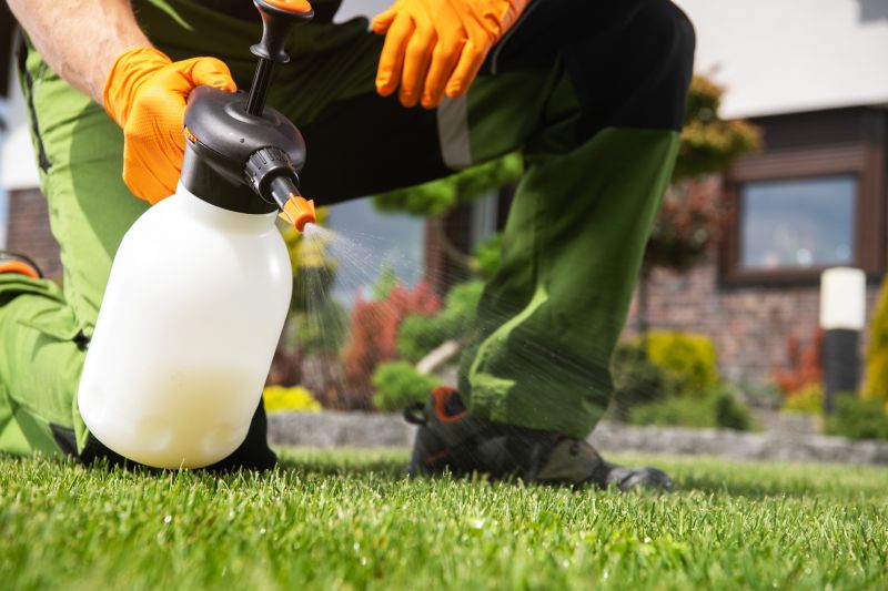 Crabgrass Prevention in Honolulu, HI