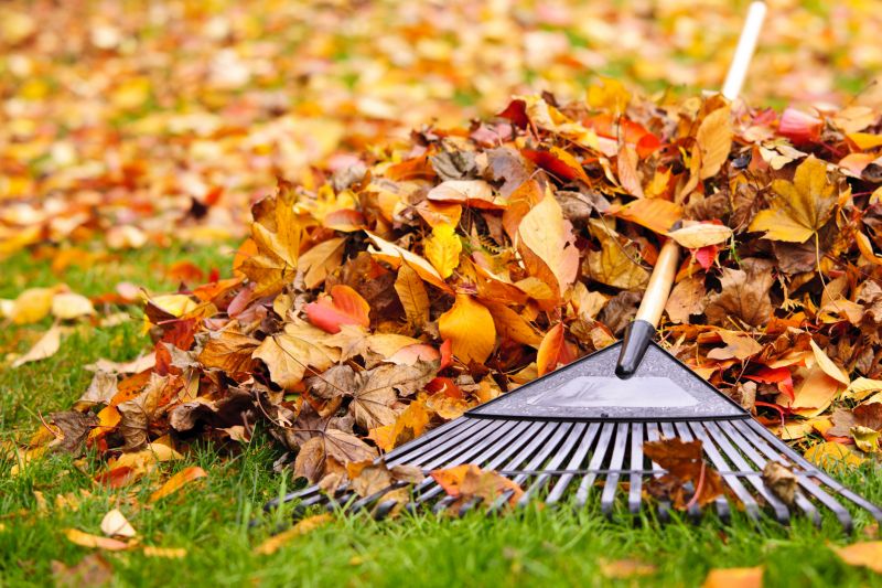 Lawn with Fall Cleanup