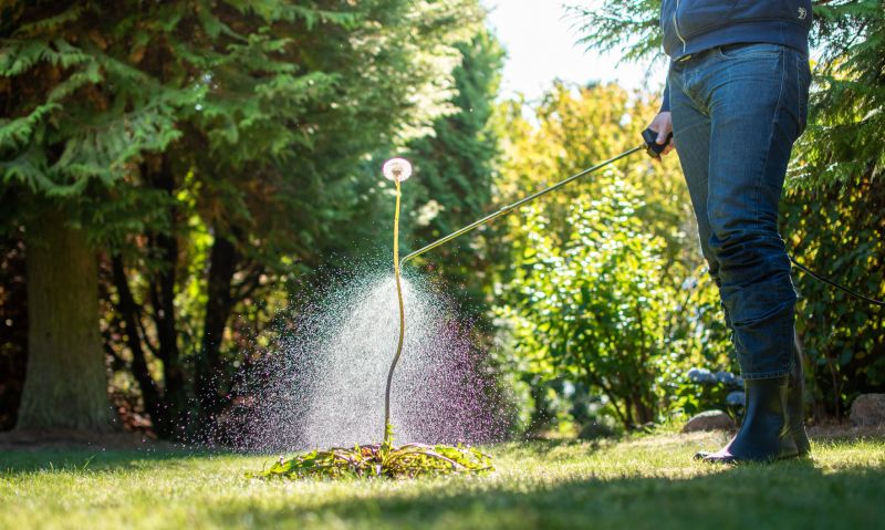 Lawn Herbicide Treatment in Honolulu, HI