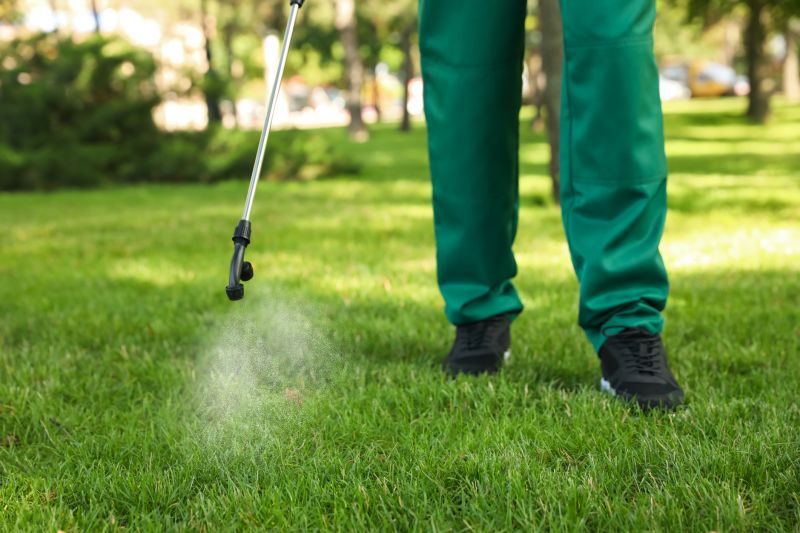 Lawn Moss Control in Ventura County, CA