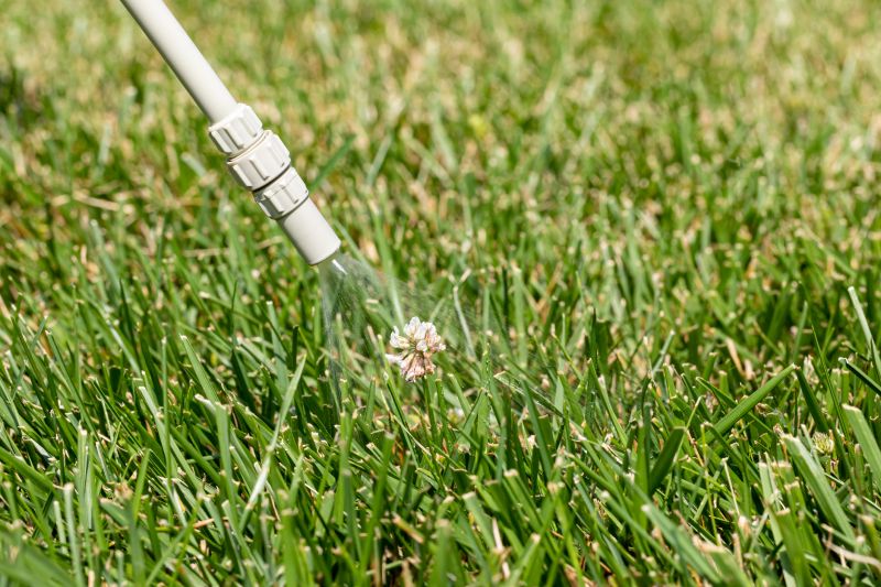 Lawn Spraying in Ventura County, CA