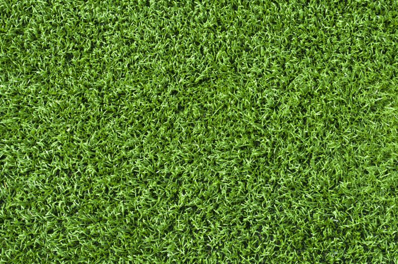 Healthy Lawn Close-up