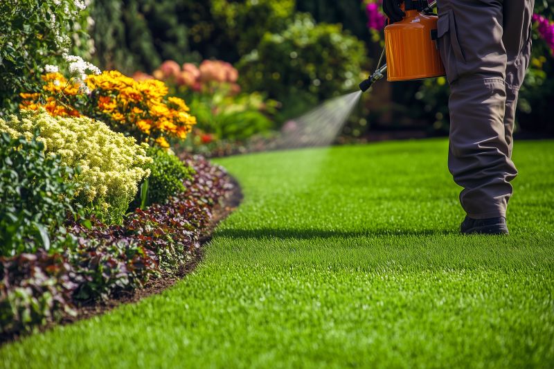 Lawn Treatment Service in Ventura County, CA