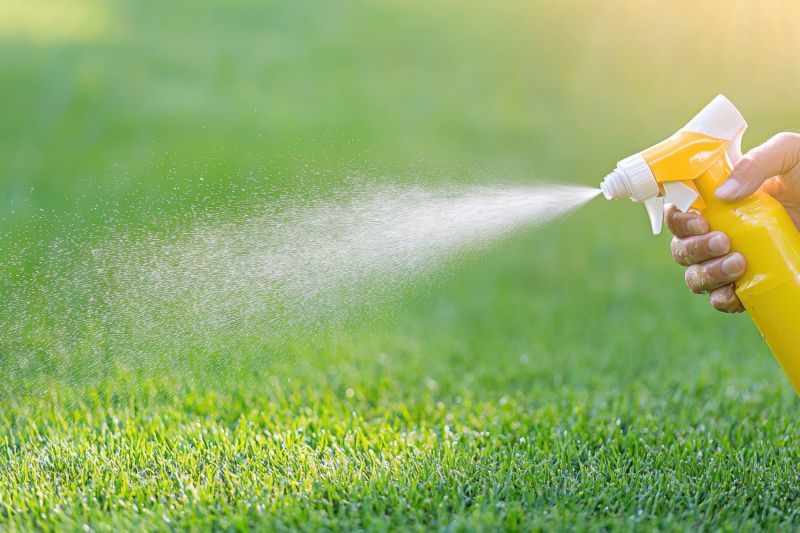 Lawn Weed Control in Ventura County, CA