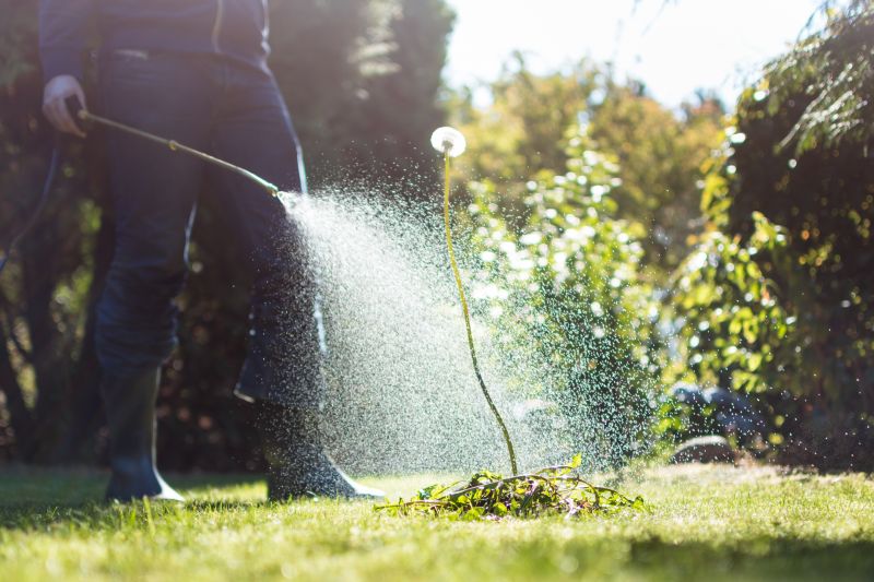 Lawn Weed Spraying in Aiken, SC