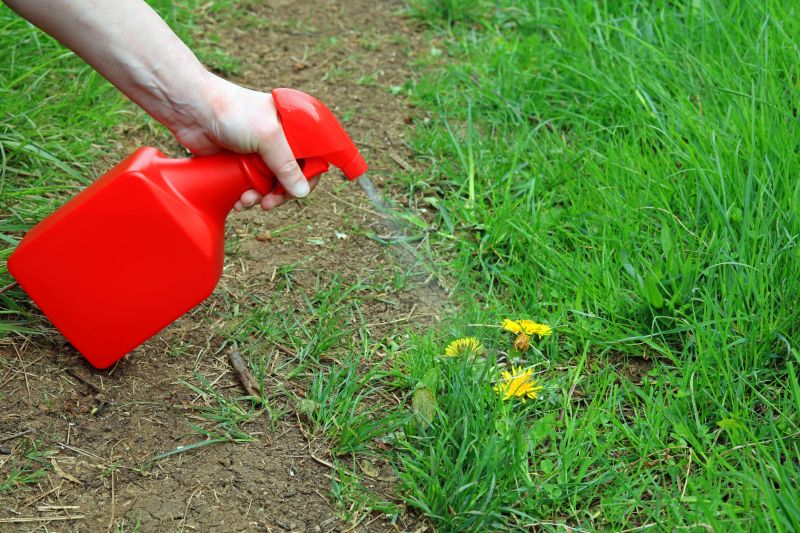 Lawn Weed Spraying in Aiken, SC