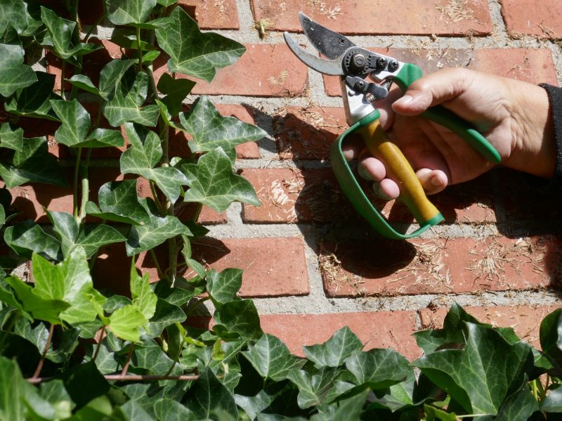 Effective Poison Ivy Removal Tools