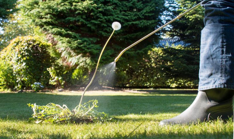 Weed Control Service in Honolulu, HI