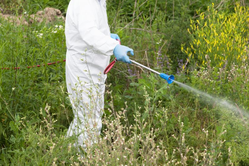 Weed Prevention Service in Ventura County, CA