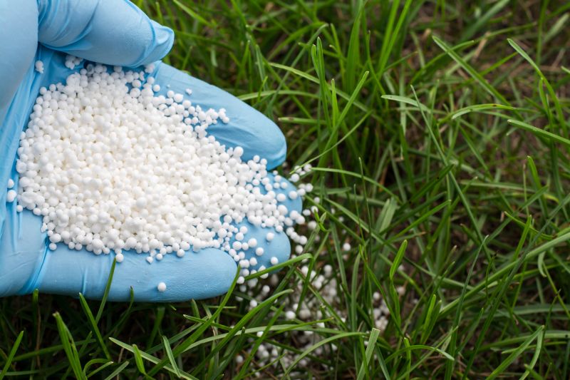 Yard Fertilizing Service in Honolulu, HI