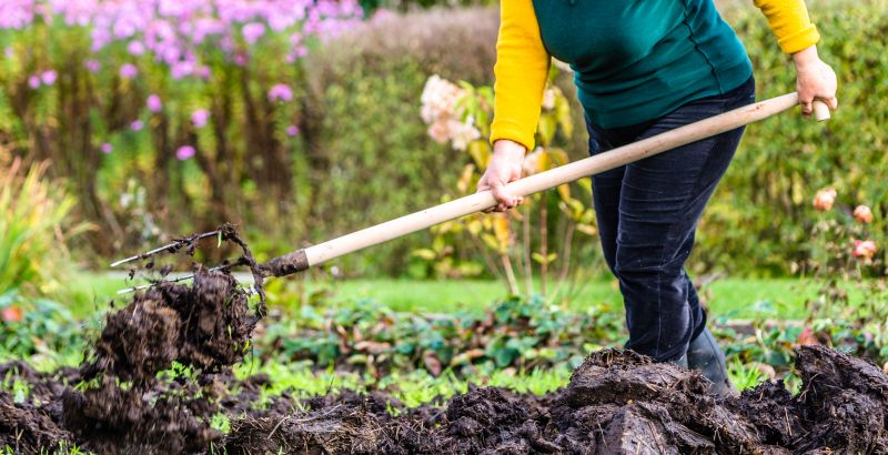 Yard Improvement Service in Honolulu, HI
